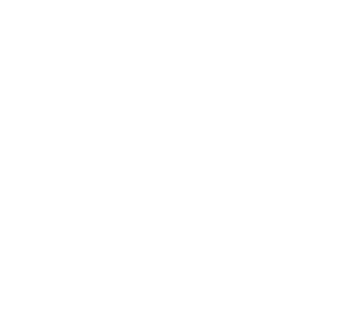 Logo Flint Business